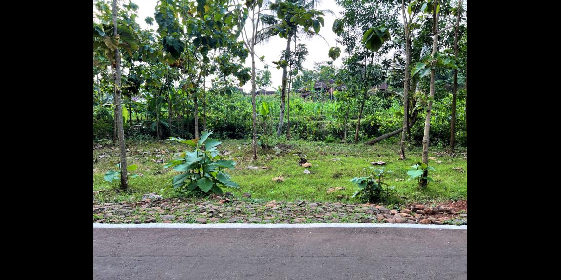 Tanah Murah 55 Juta Karanganyar Tanah Murah 55 Juta Karanganyar