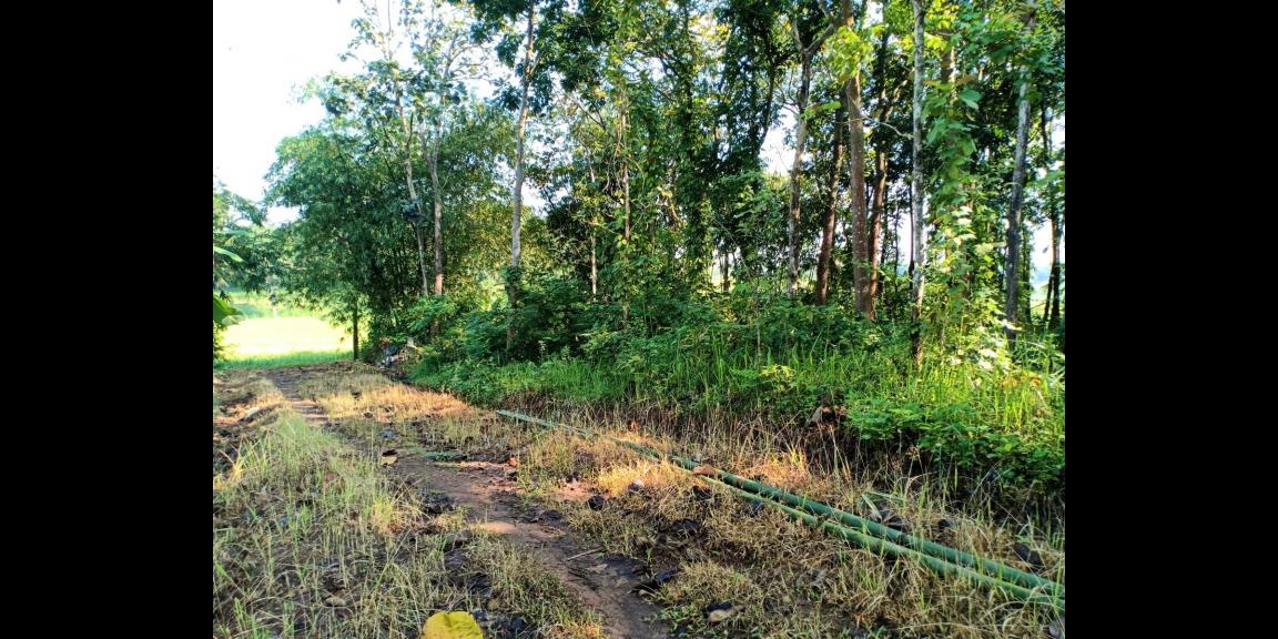 Tanah Luas Hanya 225 Juta Karanganyar Tanah Luas Hanya 225 Juta Karanganyar