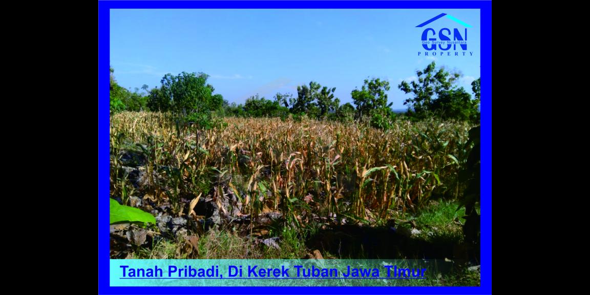 Tanah Pribadi Di Tuban Jawa Timur Tanah Pribadi Di Tuban Jawa Timur