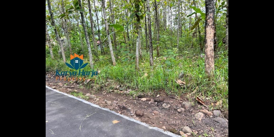 Tanah 1405m² Dekat Fasilitas Umum Karanganyar Tanah 1405m² Dekat Fasilitas Umum Karanganyar