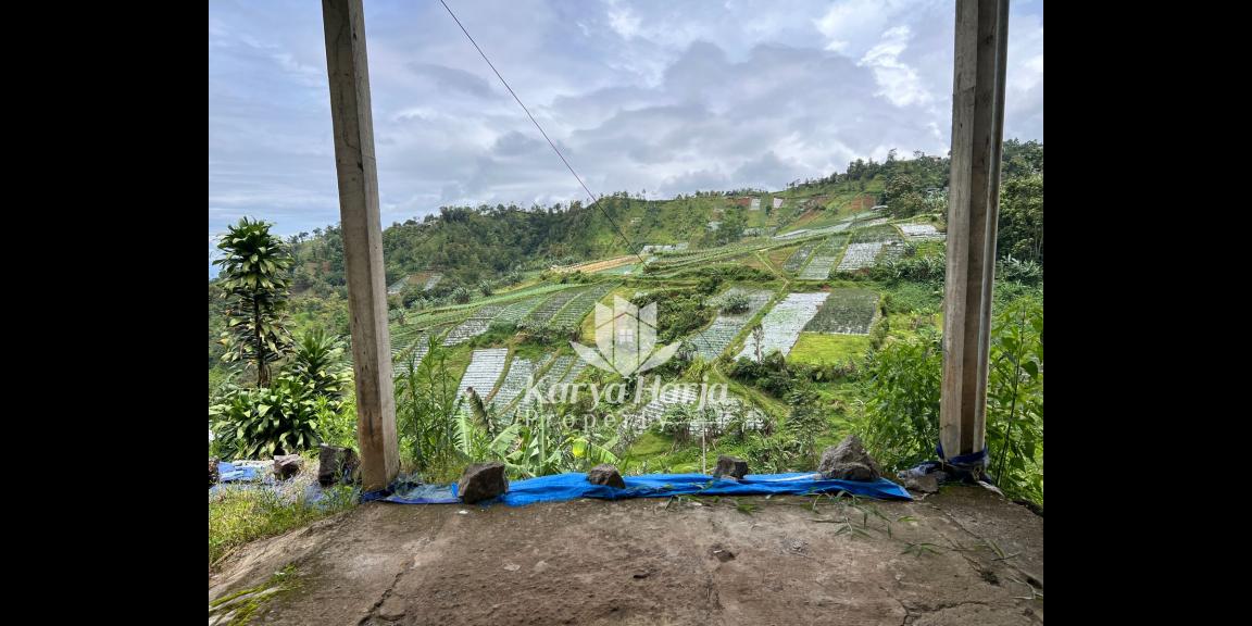 Rumah Area Kebun Teh Kemuning Karanganyar Rumah Area Kebun Teh Kemuning Karanganyar