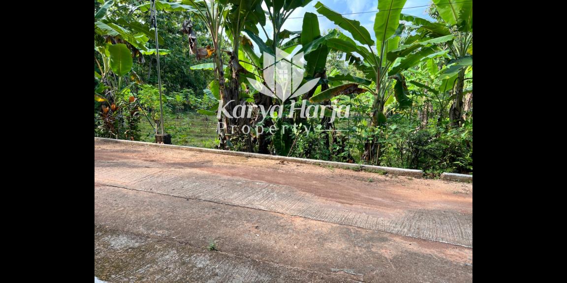 Tanah Cocok Dibangun Rumah Tinggal/Investasi Karanganyar Tanah Cocok Dibangun Rumah Tinggal/Investasi Karanganyar