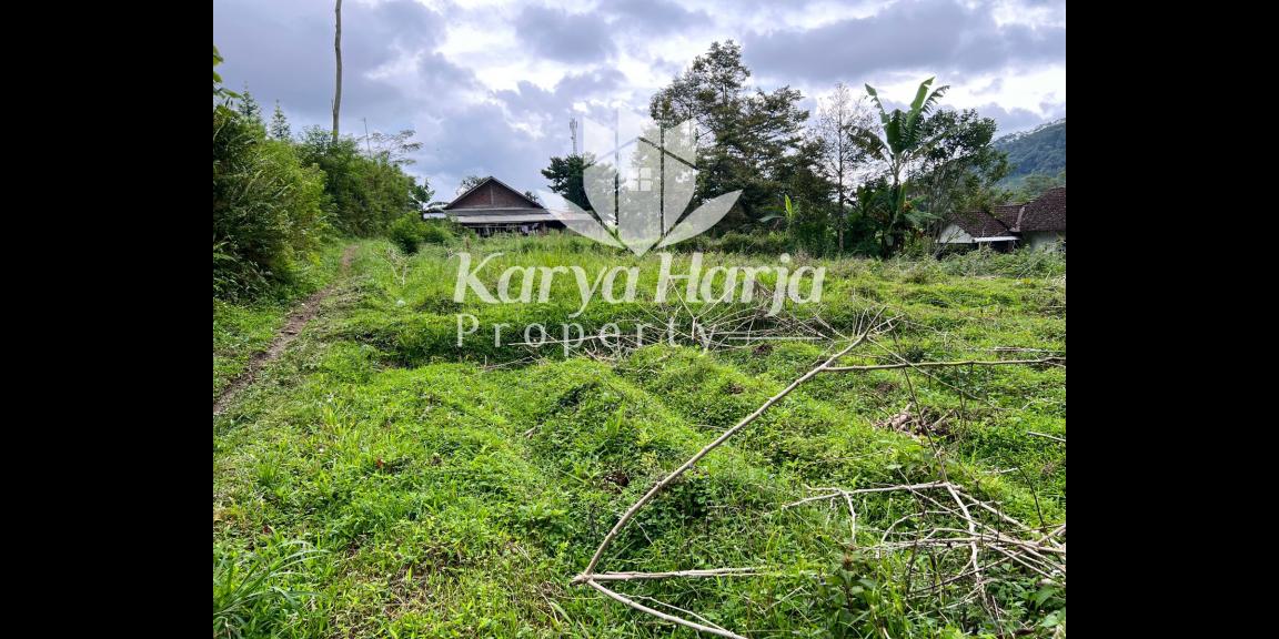 Tanah 1,2 Jt/m Dekat Sungai Pegunungan Kemuning Tanah 1,2 Jt/m Dekat Sungai Pegunungan Kemuning
