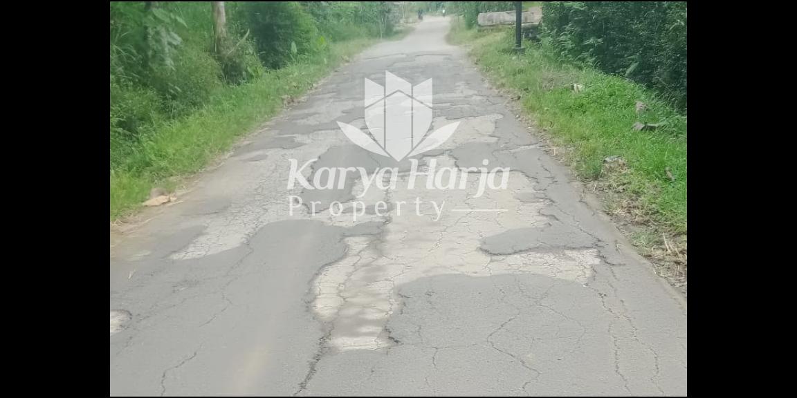 Kebun Durian Produktif Karangpandan Karanganyar Kebun Durian Produktif Karangpandan Karanganyar