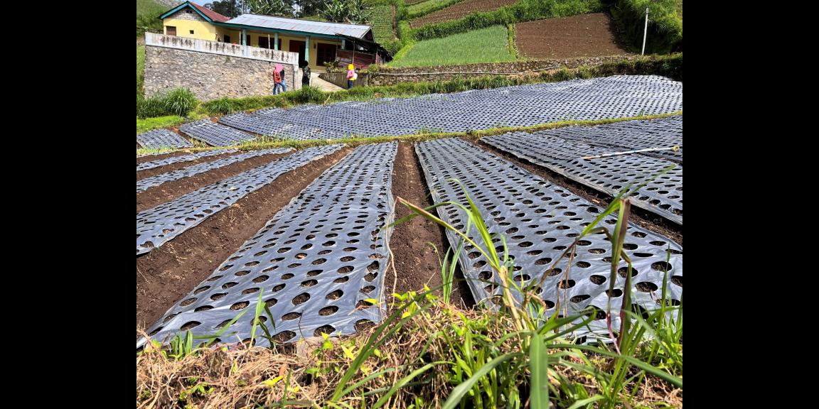 Tanah 206m² Gondosuli Tawangmangu Karanganyar Tanah 206m² Gondosuli Tawangmangu Karanganyar