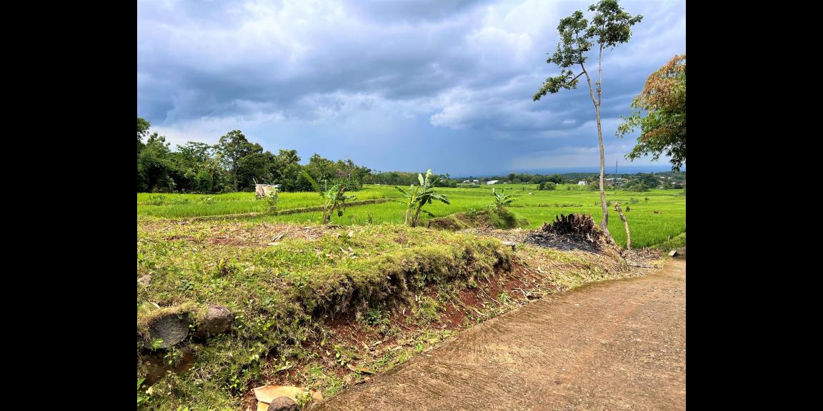 Rumah Strategis Siap Huni Kerjo Karanganyar Rumah Strategis Siap Huni Kerjo Karanganyar