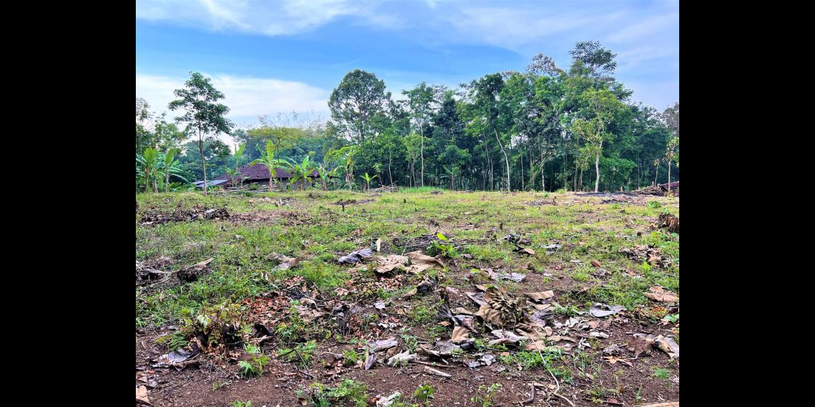 Jual Tanah Datar Cocok untuk Investasi Kerjo Karanganyar Jual Tanah Datar Cocok untuk Investasi Kerjo Karanganyar