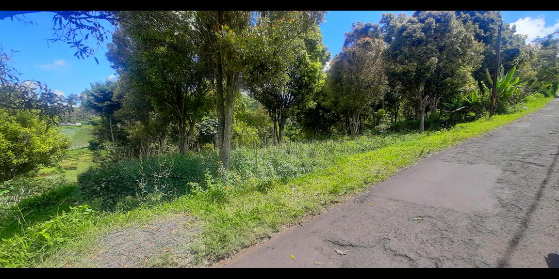 TANAH HUNIAN DAN KOMERSIL DI CIUMBULEUIT BANDUNG TANAH HUNIAN DAN KOMERSIL DI CIUMBULEUIT BANDUNG