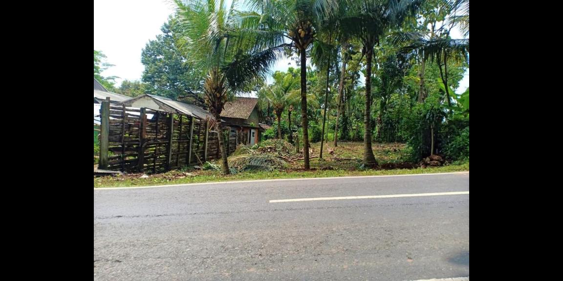 Tanah Cocok Untuk Usaha Jl Raya Kerjo Karanganyar Tanah Cocok Untuk Usaha Jl Raya Kerjo Karanganyar