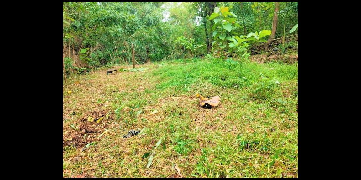 Jual Tanah 45 Juta Kedawung Sragen Jual Tanah 45 Juta Kedawung Sragen