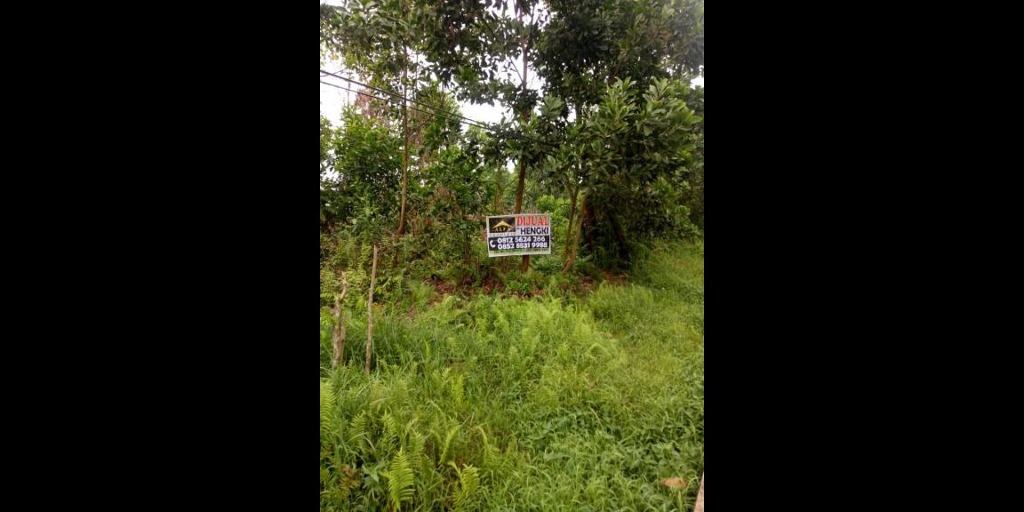 Tanah Ahmad Yani 2, Pontianak, Kalimantan Barat Tanah Ahmad Yani 2, Pontianak, Kalimantan Barat