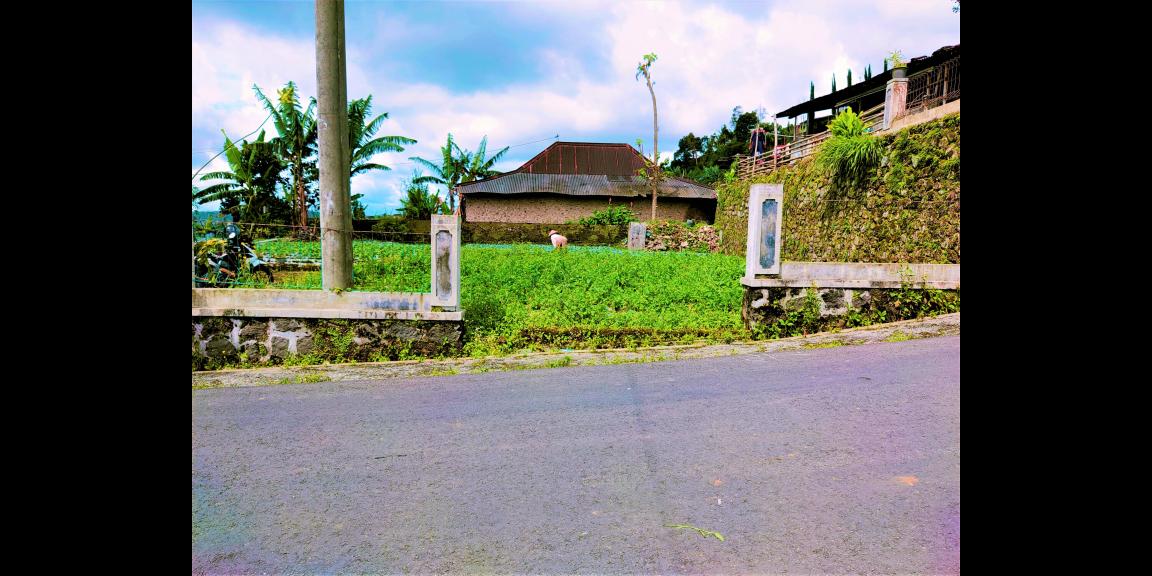 DIJUAL TANAH STRATEGIS DIBANGUN USAHA/ VILLA KEMUNING NGARGOYOSO KARANGANYAR DIJUAL TANAH STRATEGIS DIBANGUN USAHA/ VILLA KEMUNING NGARGOYOSO KARANGANYAR