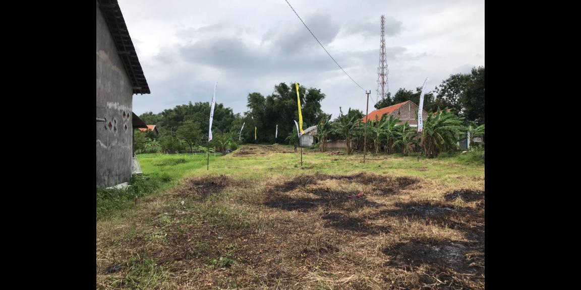 Tanah Sangat Murah dan Luas Daerah Mojokopek Pasuruan Tanah Sangat Murah dan Luas Daerah Mojokopek Pasuruan