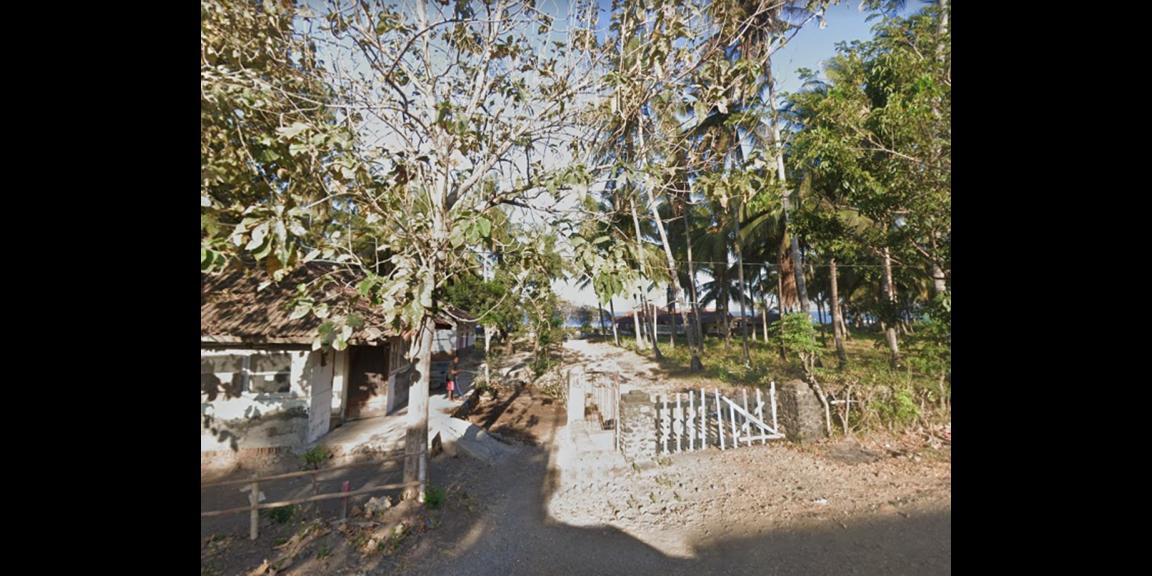 Jual Tanah Kebun Sangat Luas Dekat Pantai di Banyuwangi Jual Tanah Kebun Sangat Luas Dekat Pantai di Banyuwangi
