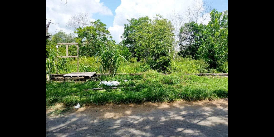 Tanah Parit Demang, Pontianak, Kalimantan Barat Tanah Parit Demang, Pontianak, Kalimantan Barat