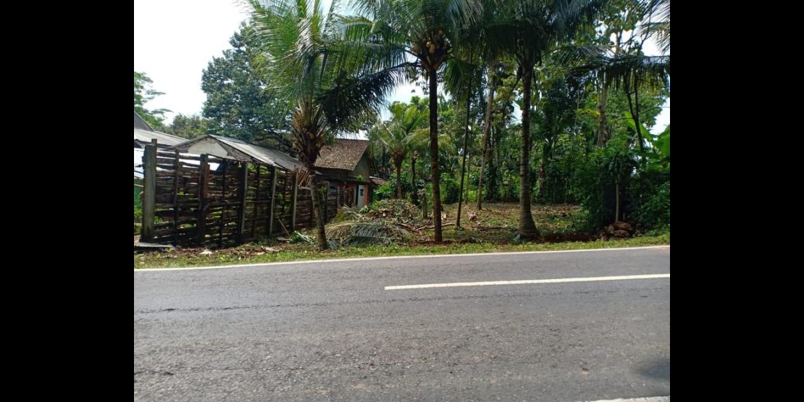 Dijual Tanah Tepi Jl Raya Mojogedang Batujamus Karanganyar Dijual Tanah Tepi Jl Raya Mojogedang Batujamus Karanganyar