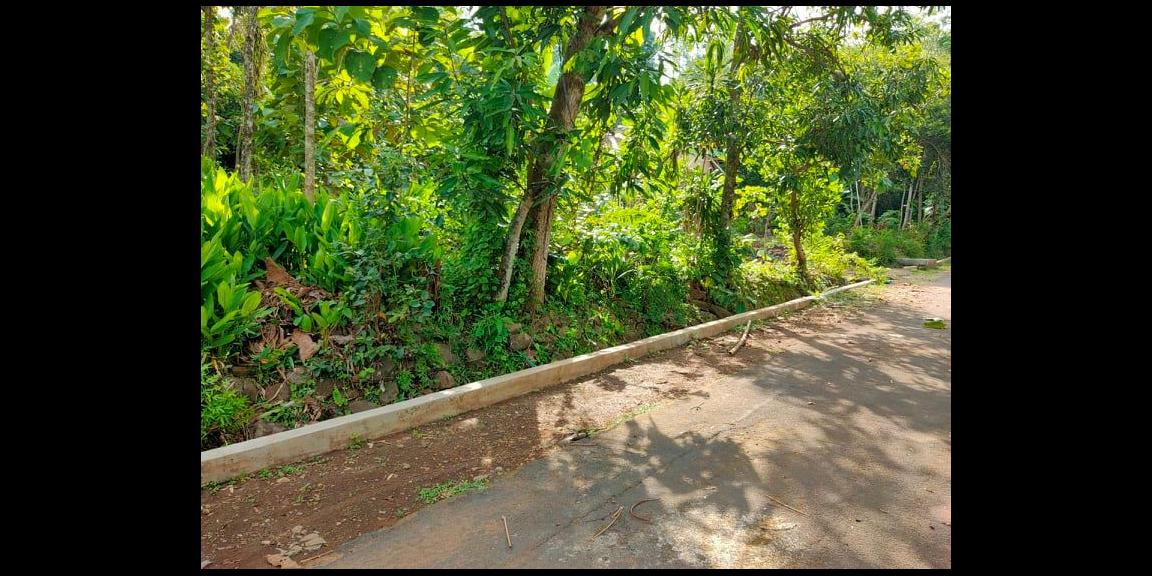 Dijual Tanah Super Datar 1500m² Kerjo Karanganyar Dijual Tanah Super Datar 1500m² Kerjo Karanganyar