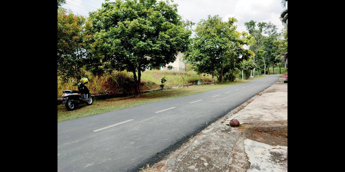 Tanah Strategis 2100m² Kebun Jati Tepi Jl. Raya Kerjo-Karangpandan Tanah Strategis 2100m² Kebun Jati Tepi Jl. Raya Kerjo-Karangpandan