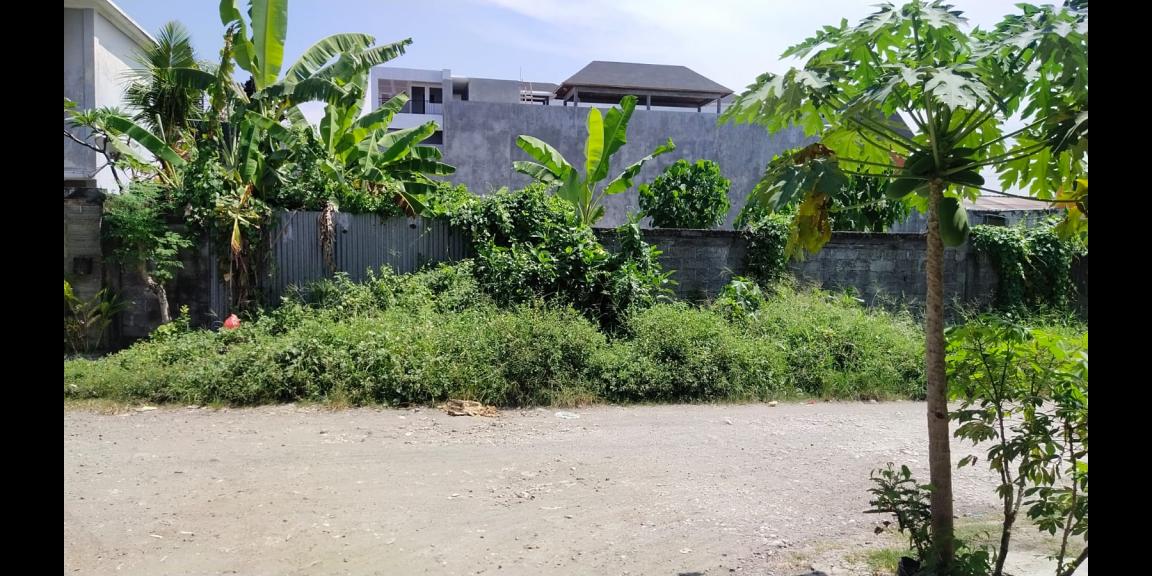 Jual Tanah Murah Kawasan Pemecutan Kelod Kota Denpasar Jual Tanah Murah Kawasan Pemecutan Kelod Kota Denpasar