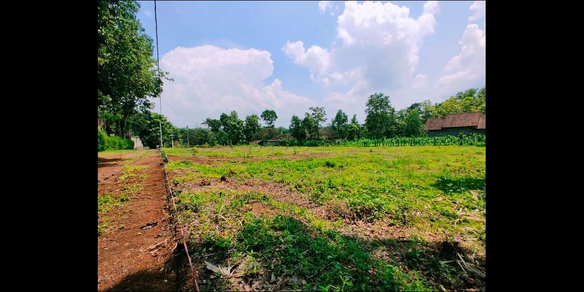 Dijual Tanah Datar 182m² Dekat MTS Mojogedang Karanganyar Dijual Tanah Datar 182m² Dekat MTS Mojogedang Karanganyar