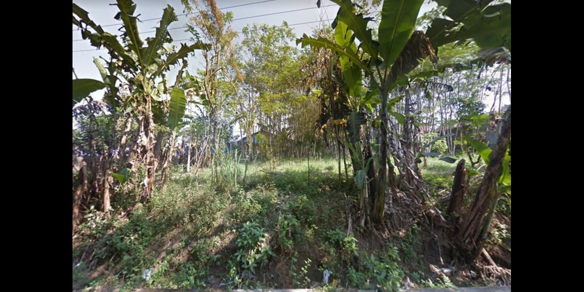 Jual Tanah SHM Sangat Luas di Tegal Mapan Malang Jual Tanah SHM Sangat Luas di Tegal Mapan Malang