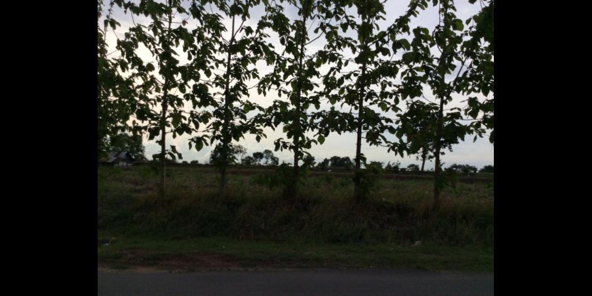 Jual Cepat Tanah Industri Murah Kawasan Raya Mantup Jual Cepat Tanah Industri Murah Kawasan Raya Mantup