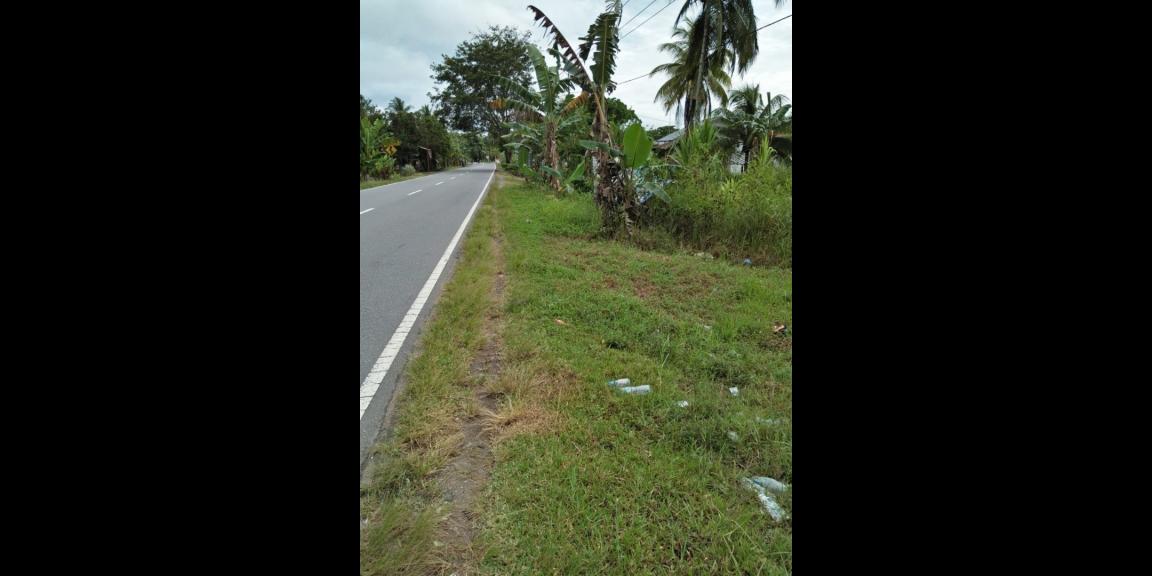 Tanah Mempawah, Hilir Kalbar, Kalimantan Barat Tanah Mempawah, Hilir Kalbar, Kalimantan Barat