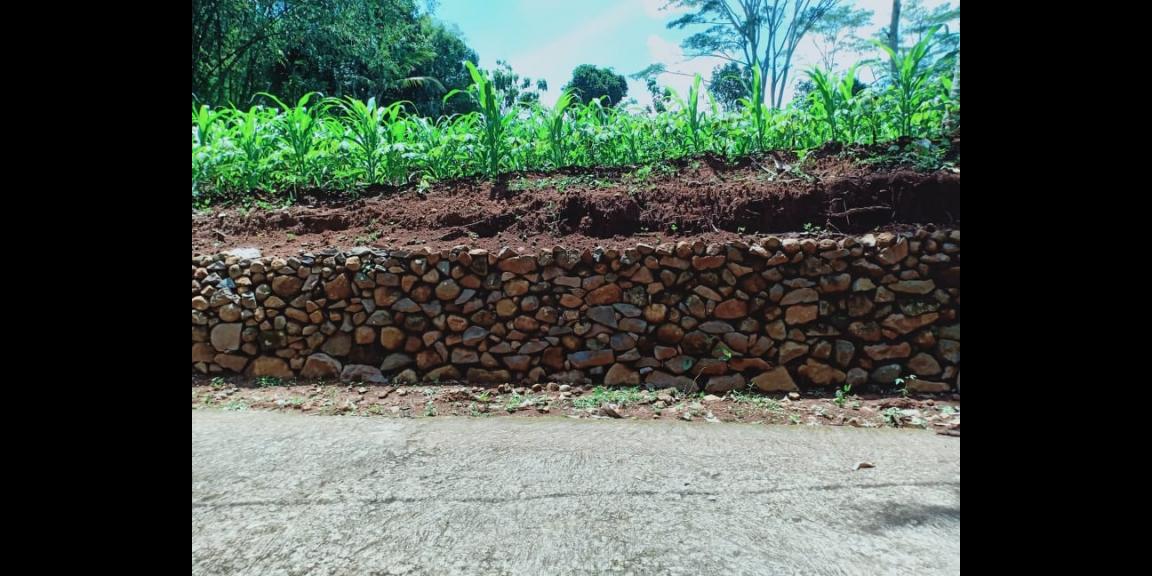 Dijual Tanah Datar 1800m² Cocok dikavling Mojogedang Karanganyar Dijual Tanah Datar 1800m² Cocok dikavling Mojogedang Karanganyar