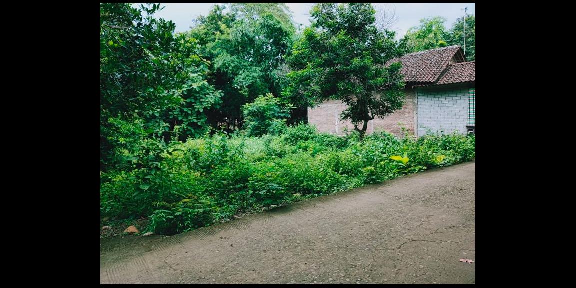 Rumah Siap Huni Lingkungan Asri Kedawung Sragen Rumah Siap Huni Lingkungan Asri Kedawung Sragen