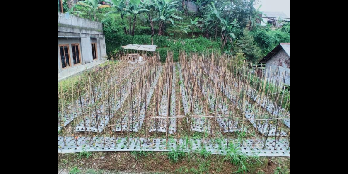 Dijual Tanah 284m² Kemuning Ngargoyoso Karanganyar Dijual Tanah 284m² Kemuning Ngargoyoso Karanganyar