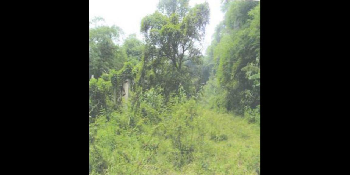 Tanah Desa Gunung Sindur Cocok Untuk Industri di Bogor Tanah Desa Gunung Sindur Cocok Untuk Industri di Bogor