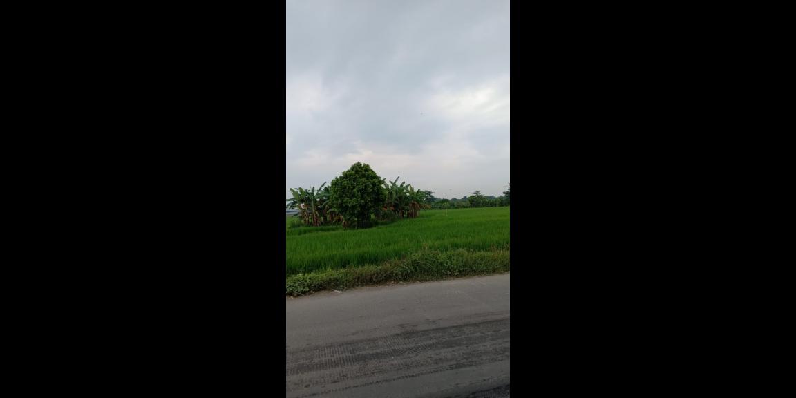 Jual Tanah Industri daerah Lebaksono daerah Pungging Jual Tanah Industri daerah Lebaksono daerah Pungging