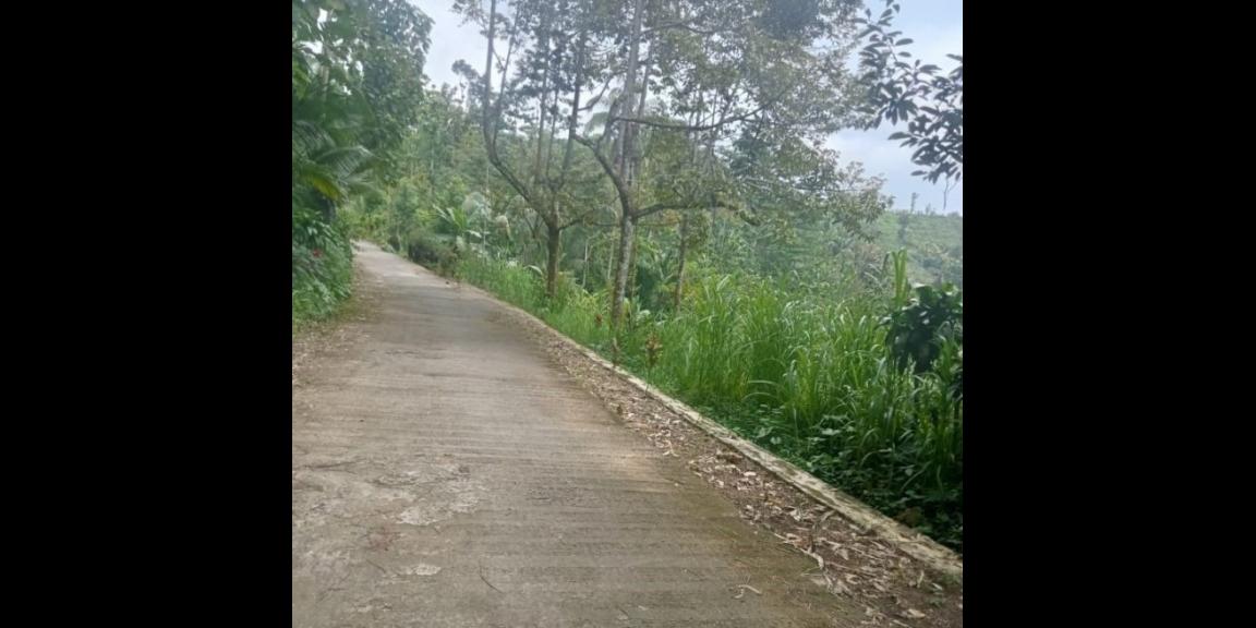 Tanah Udara Dingin dekat Candi Cetho Jenawi Karanganyar Tanah Udara Dingin dekat Candi Cetho Jenawi Karanganyar