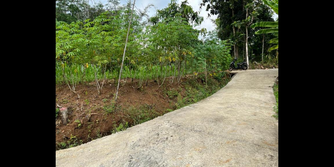 Jual Kebun Durian Datar Kerjo Karanganyar Jual Kebun Durian Datar Kerjo Karanganyar