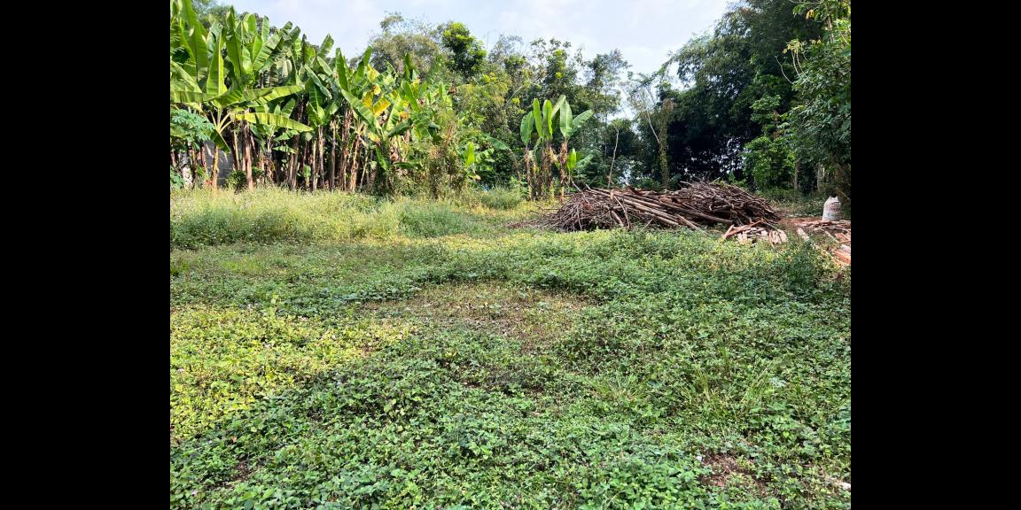 Dijual Tanah Datar Jl Raya Mojogedang Karanganyar Dijual Tanah Datar Jl Raya Mojogedang Karanganyar