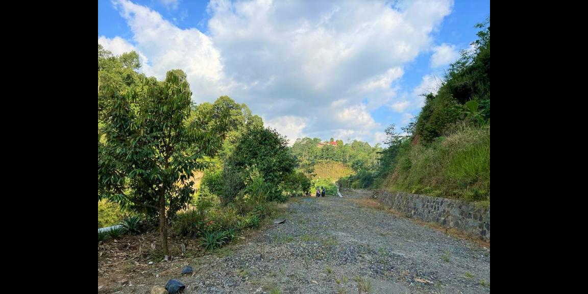 Tanah Dekat Telaga Ngargoyoso Karanganyar Tanah Dekat Telaga Ngargoyoso Karanganyar