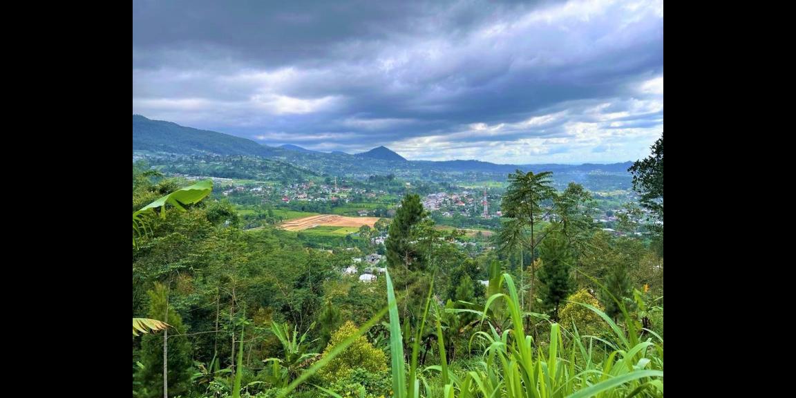 Dijual Tanah 3512m² View Hamparan Kebun Teh Kemuning Dijual Tanah 3512m² View Hamparan Kebun Teh Kemuning