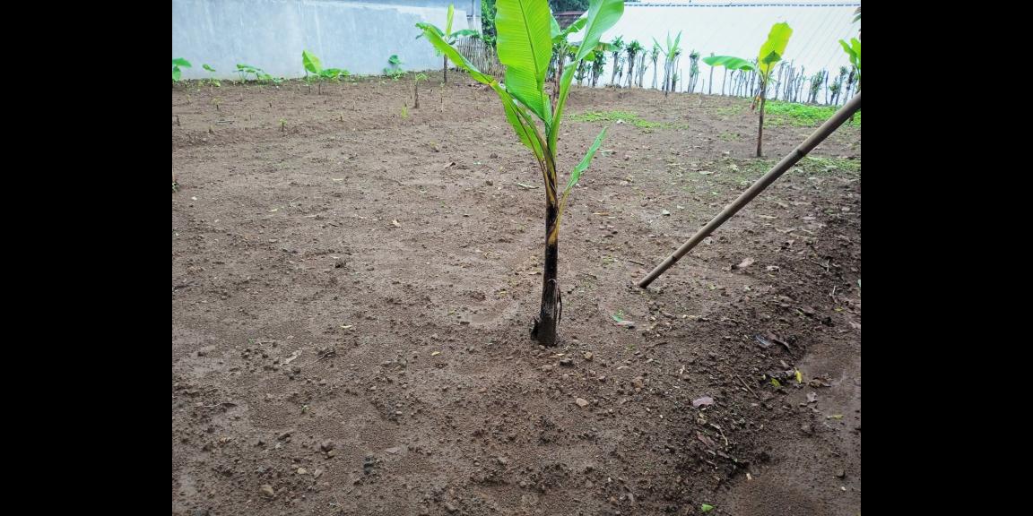 Dijual Tanah Kota Wisata Tawangmangu Karanganyar  Dijual Tanah Kota Wisata Tawangmangu Karanganyar