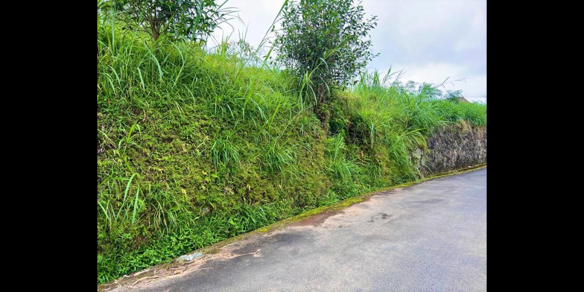 Dijual Tanah Dekat Telaga Madirda Kemuning Dijual Tanah Dekat Telaga Madirda Kemuning