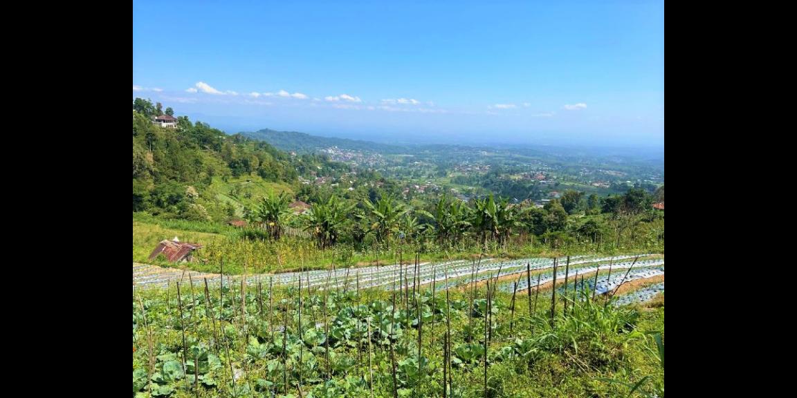 Tanah 2000m² Cocok Bangun Villa Kemuning Karanganyar Tanah 2000m² Cocok Bangun Villa Kemuning Karanganyar