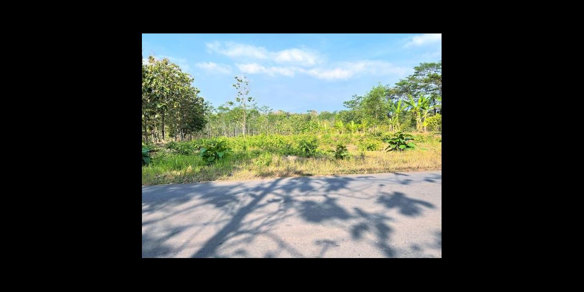 Dijual Tanah Strategis 1 Hektar Kerjo Karanganyar Dijual Tanah Strategis 1 Hektar Kerjo Karanganyar