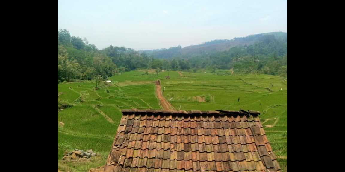 Dijual Tanah 2570m2 Dekat Candi Cetho Karanganyar  Dijual Tanah 2570m2 Dekat Candi Cetho Karanganyar