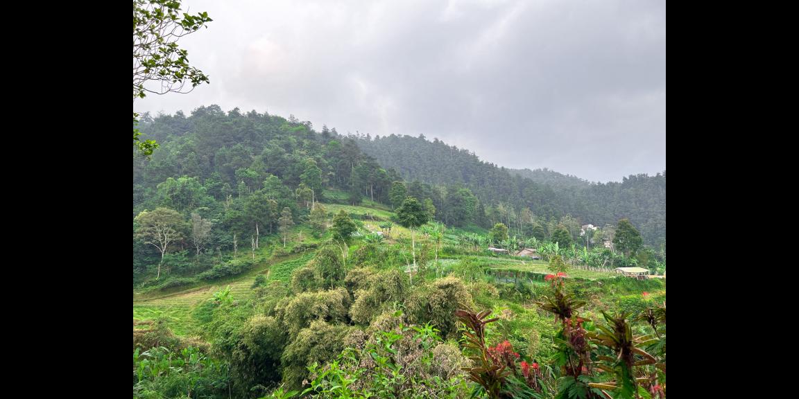 Dijual Tanah 410m² Dekat Candi Sukuh Kemuning Dijual Tanah 410m² Dekat Candi Sukuh Kemuning