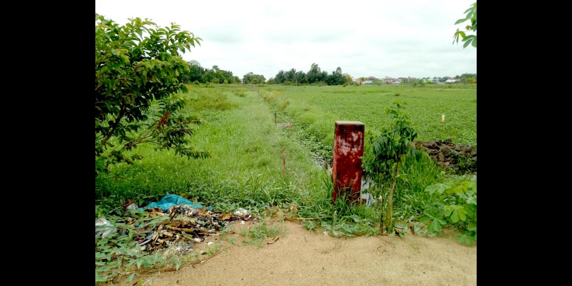 Tanah Parit Sembin, Pontianak, Kalimantan Barat Tanah Parit Sembin, Pontianak, Kalimantan Barat