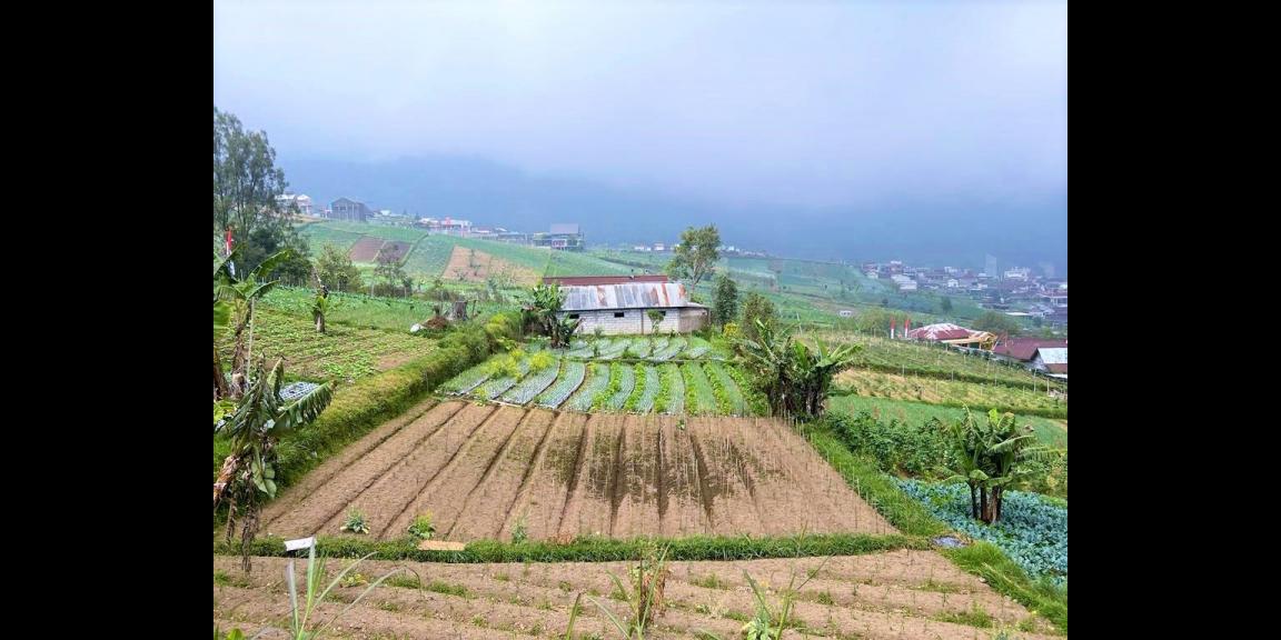 Dijual Tanah Kawasan Resto & Wisata Tawangmangu Karanganyar  Dijual Tanah Kawasan Resto & Wisata Tawangmangu Karanganyar