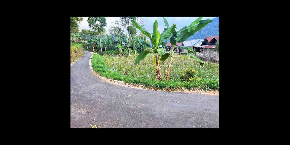 Dijual Tanah Udara dingin Ngargoyoso Karanganyar Dijual Tanah Udara dingin Ngargoyoso Karanganyar