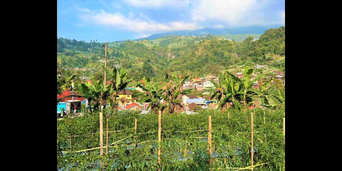 Tanah Dekat Jembatan Kaca Kemuning Karanganyar Tanah Dekat Jembatan Kaca Kemuning Karanganyar