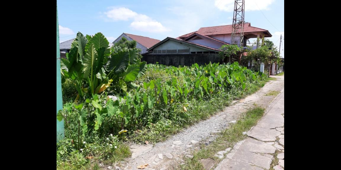 Tanah Sepakat 6, Pontianak, Kalimantan Barat Tanah Sepakat 6, Pontianak, Kalimantan Barat