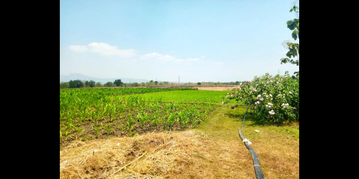 Tanah Zona Industri 41 Hektar Sukoharjo Tanah Zona Industri 41 Hektar Sukoharjo