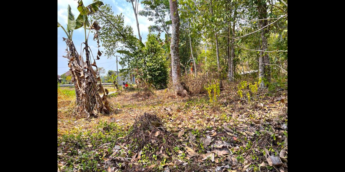 Tanah 1000m2 Siap Dibangun Villa Karangpandan, Karanganyar Tanah 1000m2 Siap Dibangun Villa Karangpandan, Karanganyar